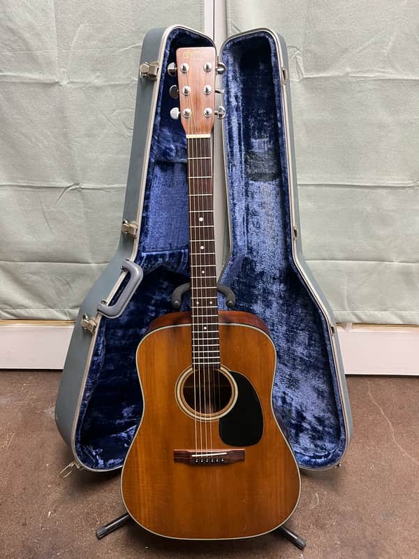 1979 Martin D-19
